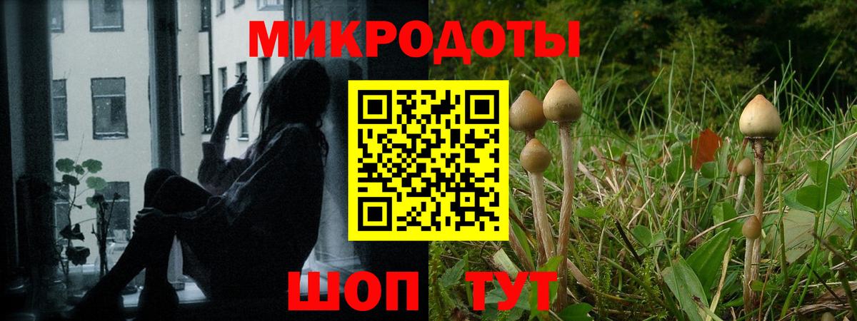 Домодедово  купить наркоту  Вход с VPN  Галлюциногенные грибы ЛСД 