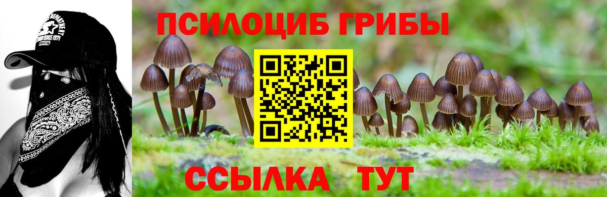 Галлюциногенные грибы MAGIC MUSHROOMS Домодедово